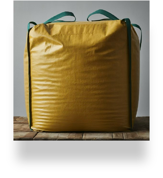 bag 01